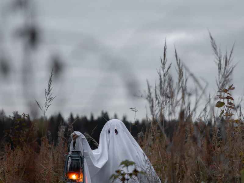 The Analysis Podcast of Feminist Criticism on the Film, Ring (1998), by Koji&nbsp;Suzuki