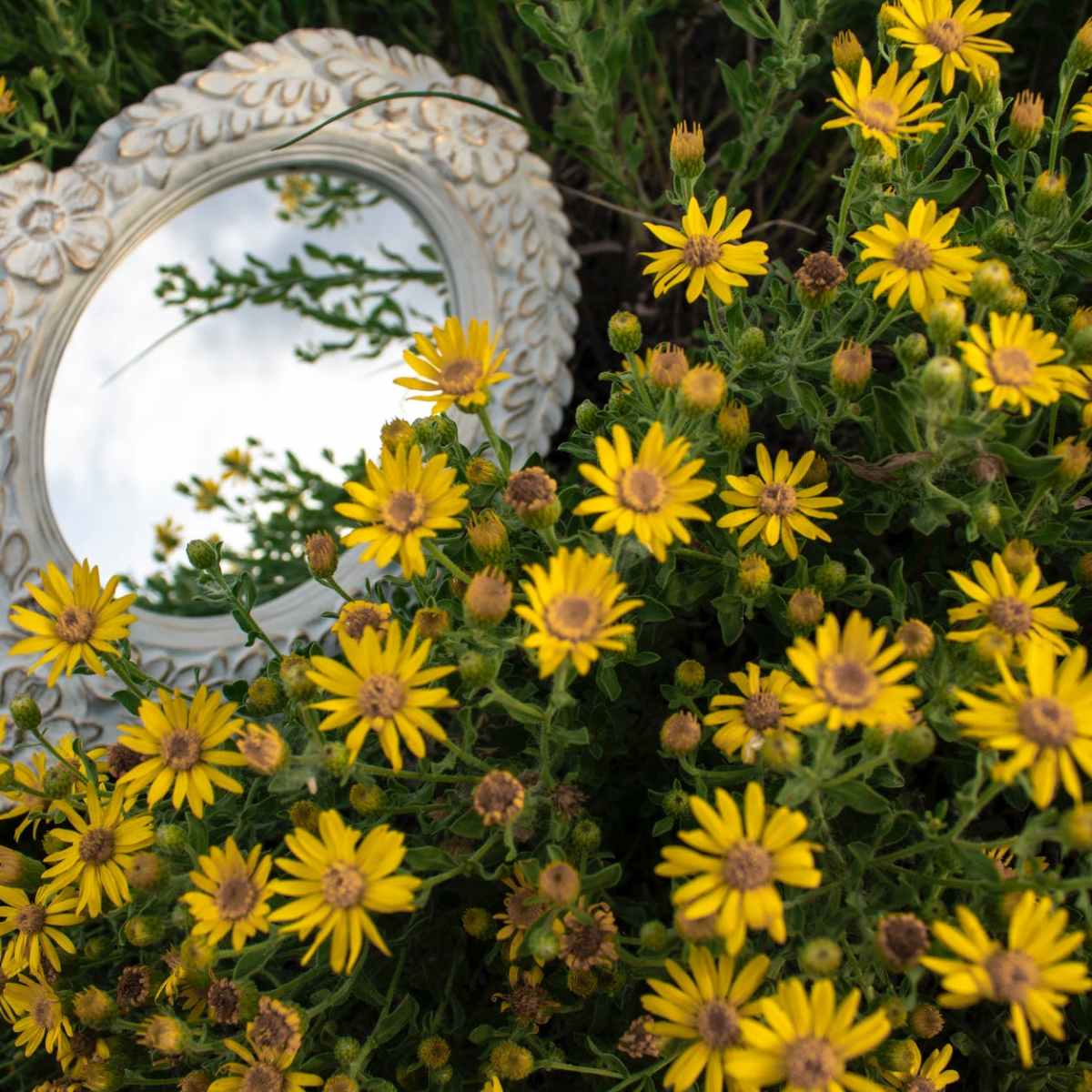 Reaction after Reading “Botticelli” by Barry&nbsp;Yourgrau