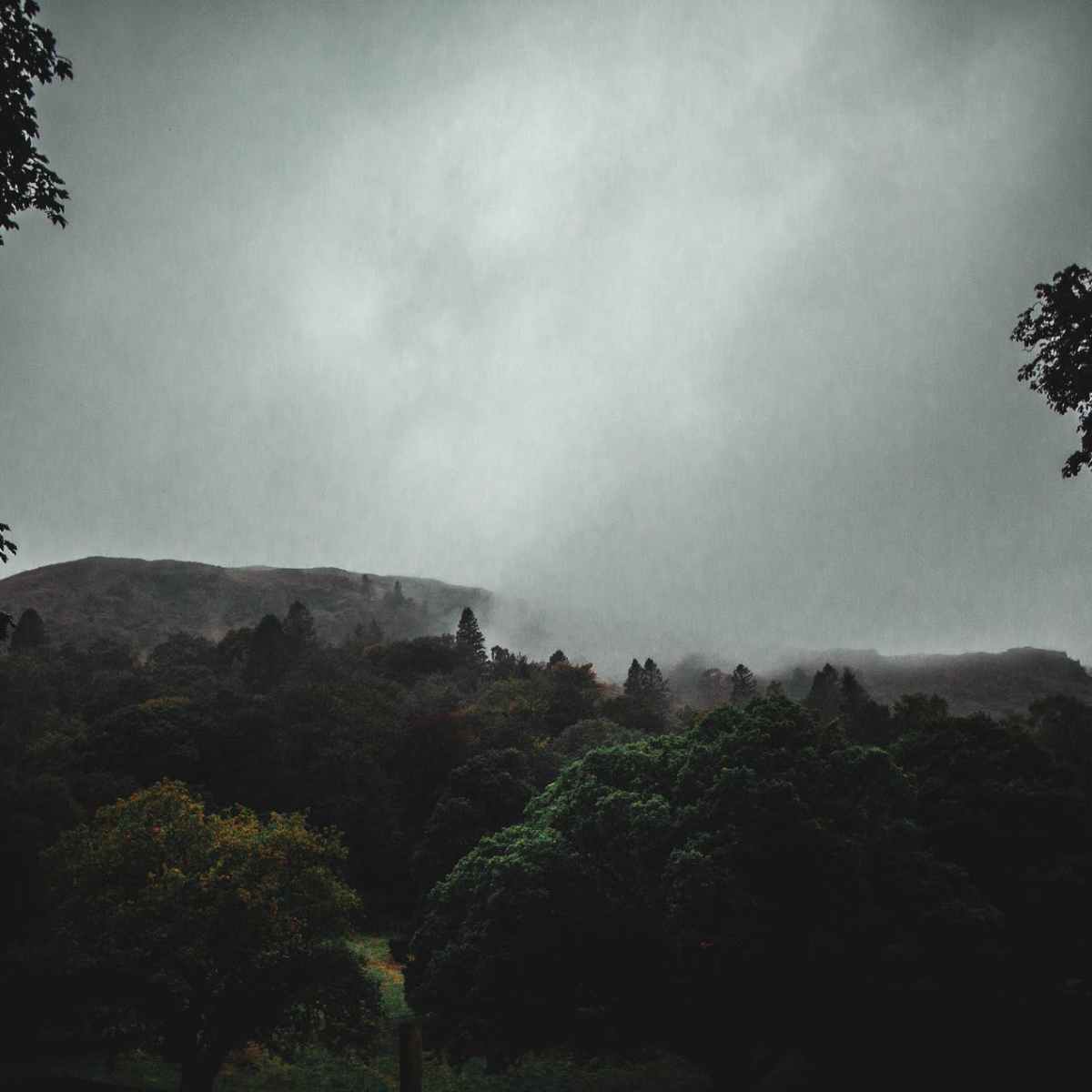 The Rainstorm (2021) by Napatsorn&nbsp;Treesap