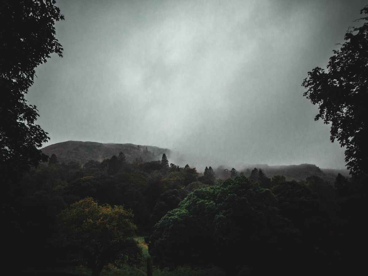 The Podcast of a Short Story “The Rainstorm (2021)” by Napatsorn&nbsp;Treesap