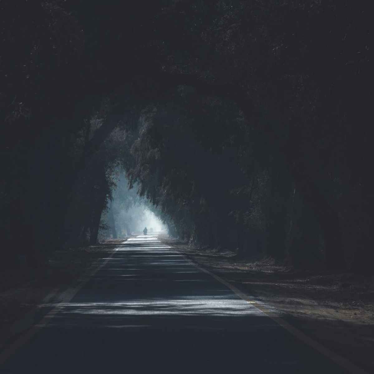 Reaction after Reading “Decameron, First Day” by Giovanni&nbsp;Boccaccio