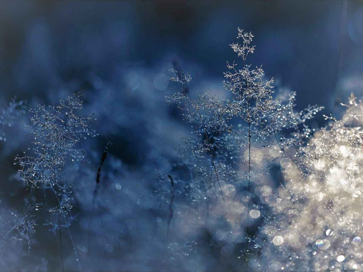 I Cant Lock Her, She’s the Criminal in my Mind – Napatsorn&nbsp;Treesap