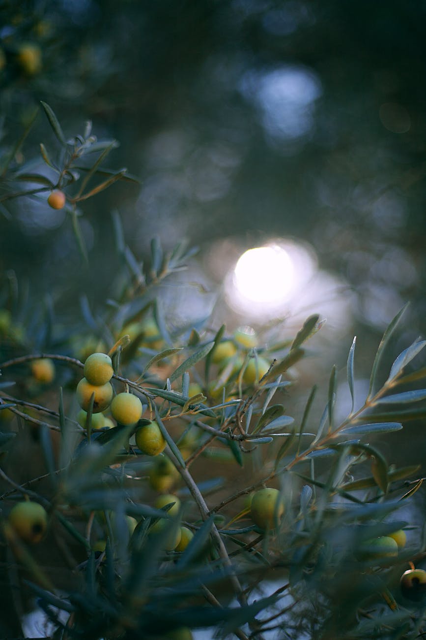 Podcast Episode “With All the Love, Lost, And the Things that would Never Get&nbsp;Back”