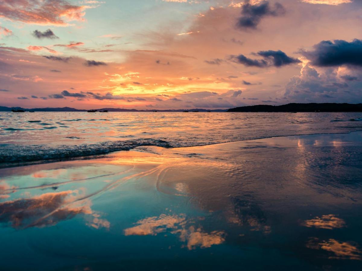 The Poison in The Dawn I Awake – Napatsorn&nbsp;Treesap