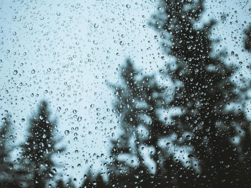 A Shadow of Existence – Napatsorn&nbsp;Treesap